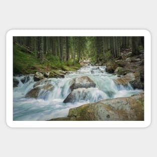 a creek in the forest Sticker